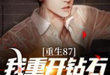 男女主人公叫陈兴邦苏静的小说免费资源-红梅文学