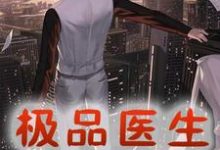 完结版《极品医生在都市》章节阅读-红梅文学