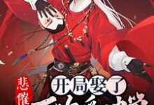 寻找能够免费阅读悲催,开局娶了一万次貂蝉小说的平台-红梅文学