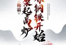 《称霸:从架起高炉冶炼钢铁开始》小说主角 林云林无月章节章节免费在线阅读-红梅文学