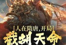 秦业长孙无垢为主角的小说好看吗?免费读人在隋唐,开局截胡天命气运女主-红梅文学