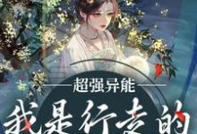 主角沈锦书周世修小说超强异能！我是行走的亲子鉴定机免费阅读-红梅文学