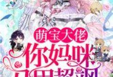 小说《萌宝大佬,你妈咪马甲超飒》章节阅读-红梅文学