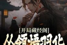 《开局藏经阁,从领悟羽化不朽诀开始》小说主角蔺九凤白云飞章节章节免费在线阅读-红梅文学