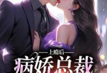 在线寻找夏梨的小说,上瘾后,病娇总裁视我入命免费阅读-红梅文学