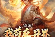 小说《系统:我苟在异界稳健变强》章节免费阅读-红梅文学