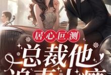 求居心叵测:总裁他追妻上瘾小说的全文免费阅读链接-红梅文学
