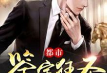 秦昊雯静为主角的小说好看吗?求都市鉴宝狂圣免费试读-红梅文学