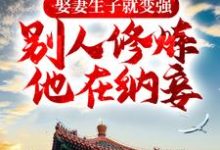 宁越的完整故事在哪里?读娶妻生子就变强,别人修炼他在纳妾小说-红梅文学