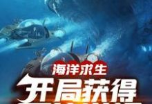 小说《海洋求生:开局获得百倍增幅》在线章节阅读-红梅文学