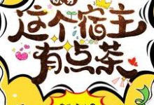 哪里能找到快穿这个宿主有点茶小说的全部章节?-红梅文学