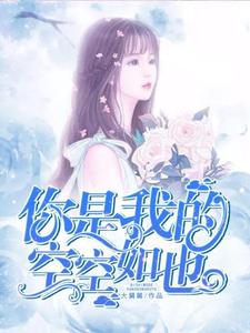 你是我的空空如也小说阅读，你是我的空空如也完结版