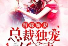 替嫁娇妻:总裁独宠亿万妻夏雅封辰小说大结局免费试读-红梅文学