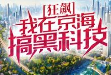 狂飙:我在京海搞黑科技最新章节,狂飙:我在京海搞黑科技免费阅读-红梅文学