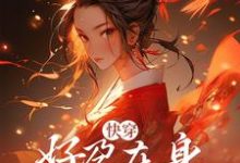 小说《快穿:好孕在身,我无敌了》在线章节阅读-红梅文学