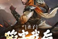 圣子陷害我后,宗门暴乱小说全文阅读需要付费吗?寻找免费资源-红梅文学