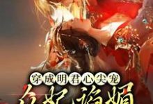 英琼楼赵无眠的小说在哪里看？免费在线阅读穿成明君心尖宠，众妃谄媚我开摆-红梅文学