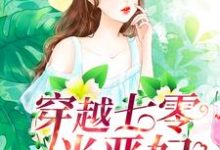 免费在线阅读穿越七零当恶妇小说的正规网站有哪些?-红梅文学