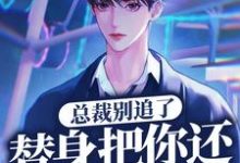 总裁别追了，替身把你还给白月光了（岑溪顾子风）在线免费阅读-红梅文学