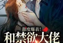 完结版《甜度爆表!和禁欲大佬的婚后日常》在线免费阅读-红梅文学