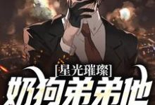 鹿良辰江屿柠为主角的小说叫什么?免费看星光璀璨:奶狗弟弟他宠妻无度-红梅文学