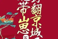 五年后,她带崽野翻京城了这本小说完结了吗?免费查看最新章节-红梅文学