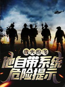 楚天恒为主角的小说叫什么？免费看战火纷飞：他自带系统危险提示