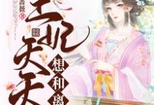 王妃天天想和离(傅婉秦修寒)在线免费阅读-红梅文学