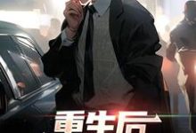 重生后,牛马他觉醒了小说,重生后,牛马他觉醒了最新章节-红梅文学