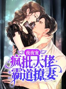 在线寻找秦衍慕瓷的小说，夜夜宠，疯批大佬霸道撩妻免费阅读