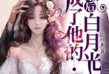 主角梁夏霍绍霆小说离婚后,成了他的白月光免费阅读-红梅文学