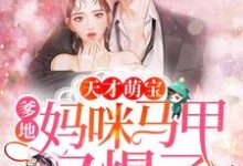 天才萌宝:爹地,妈咪马甲又爆了小说无弹窗阅读的网站推荐-红梅文学