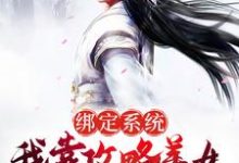 《绑定系统:我靠攻略美女成武林至尊》全集免费在线阅读(许沐枫)-红梅文学