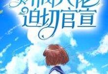 《闪婚后,财阀大佬迫切官宣》全集免费在线阅读(叶宜宁厉霆州)-红梅文学