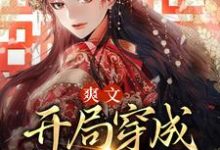 完结版《爽文:开局穿成尊贵贵妃》免费阅读-红梅文学