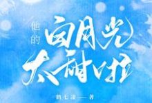 已完结小说《他的白月光太甜啦》在线章节阅读-红梅文学