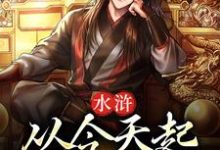 水浒:从今天起,梁山我做主小说的无弹窗阅读体验,寻找免费阅读网站-红梅文学