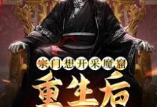 哪里可以免费读到李澈的完整故事?寻找宗门想开采魔窟?重生后我不拦了-红梅文学