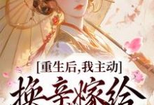 想读谢清川玉锦的故事,哪里可以免费找到重生后,我主动换亲嫁给第一世子?-红梅文学
