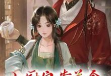 宋晚溪木辞小说叫什么(小厨娘靠美食征服颜狗夫君免费阅读)-红梅文学