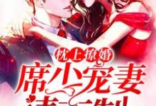 《枕上撩婚:席少,宠妻请克制》小说主角顾天瑷席灏勋章节章节免费在线阅读-红梅文学