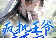 疯批王爷夜夜宠，冤种妾室只想逃小说全文阅读需要付费吗？寻找免费资源-红梅文学