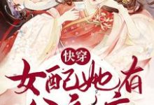 快穿:女配她有公主病小说最新更新在哪里?免费在线看-红梅文学