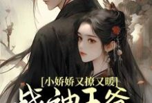 小娇娇又撩又暖，战神王爷江山为聘小说阅读，小娇娇又撩又暖，战神王爷江山为聘完结版-红梅文学