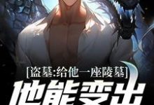 盗墓:给他一座陵墓,他能变出地府免费阅读,盗墓:给他一座陵墓,他能变出地府章节目录-红梅文学