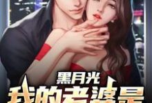 小说《黑月光:我的老婆是财阀大小姐》章节免费阅读-红梅文学