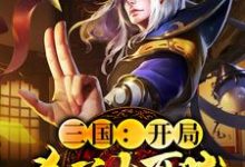 三国:开局杀了大耳贼刘凯刘辩,三国:开局杀了大耳贼小说免费阅读-红梅文学