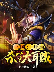 三国：开局杀了大耳贼刘凯刘辩，三国：开局杀了大耳贼小说免费阅读