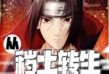 主角叫 木叶夙夜的小说在哪阅读-红梅文学