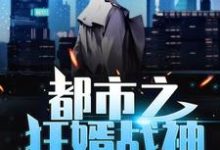 小说《都市之狂婿战神》在线章节阅读-红梅文学